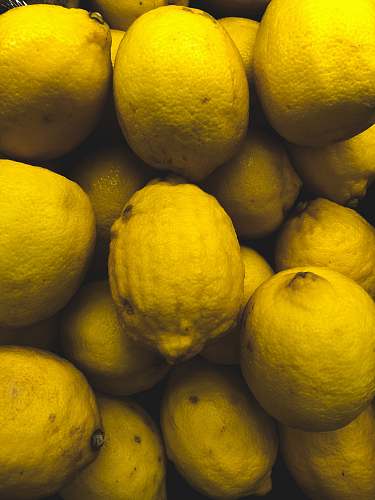 citrus fruit lemon fruits fruit